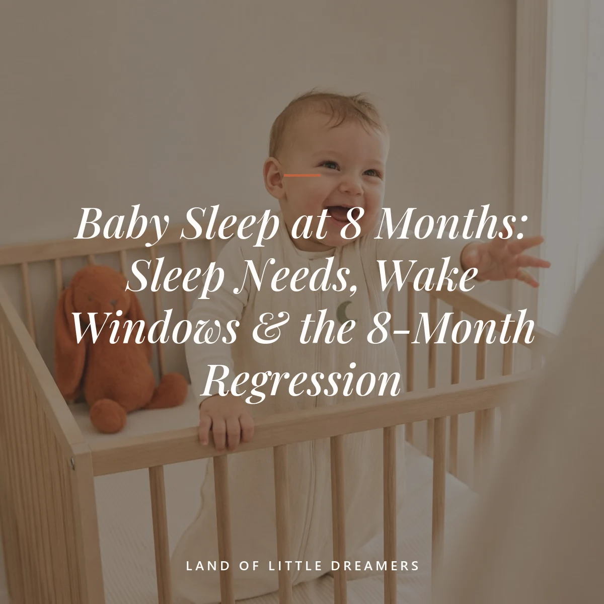 Baby Sleep at 8 Months: Sleep Needs, Wake Windows & the 8-Month Regression